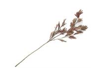 Coco Maison COCO MAISON accessoire Mimosa Leaf Spray kunstbloem H115cm